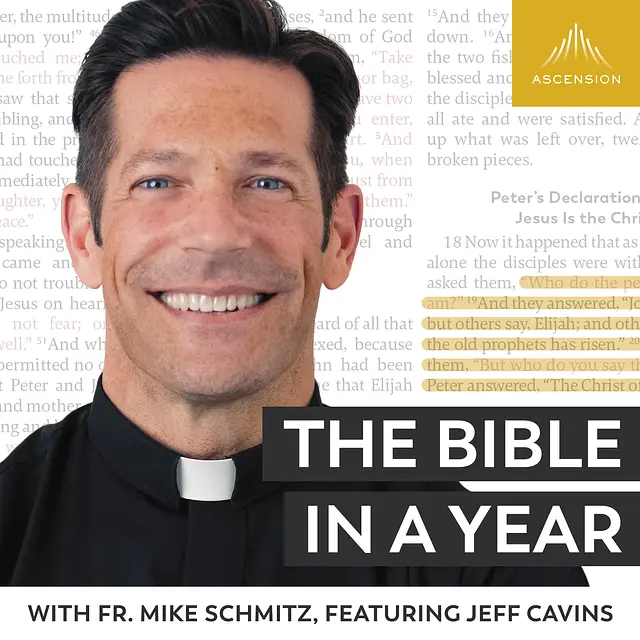 The Bible in a Year (with Fr. Mike Schmitz) podcast artwork
