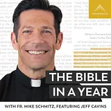 The Bible in a Year (with Fr. Mike Schmitz) podcast artwork