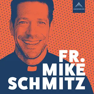 The Fr. Mike Schmitz Catholic Podcast podcast artwork