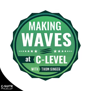 Making Waves at C-Level: Business Tips for Executives, Leaders, and Entrepreneurs podcast artwork
