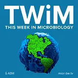 This Week in Microbiology podcast artwork